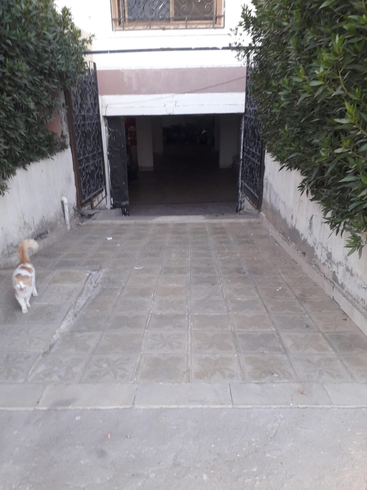 صورة المشروع 1